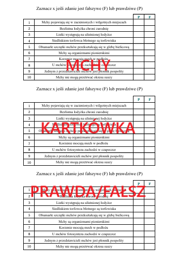 MCHY - KARTKÓWKA W FORMIE PRAWDA/FAŁSZ