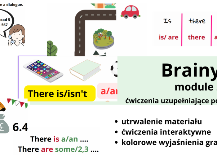 Brainy 5, unit 2, materiały dodatkowe, there is, there are