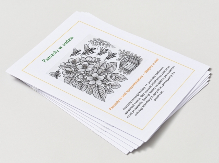 Kolorowanki ekologiczne (dla młodszych dzieci)