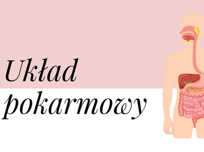 Układ pokarmowy KLASA 2 PODSTAWA BIOLOGIA