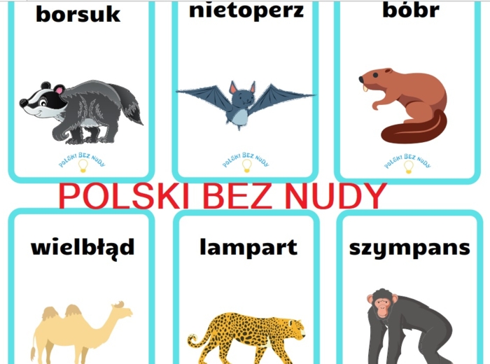 Czółko - zwierzęta