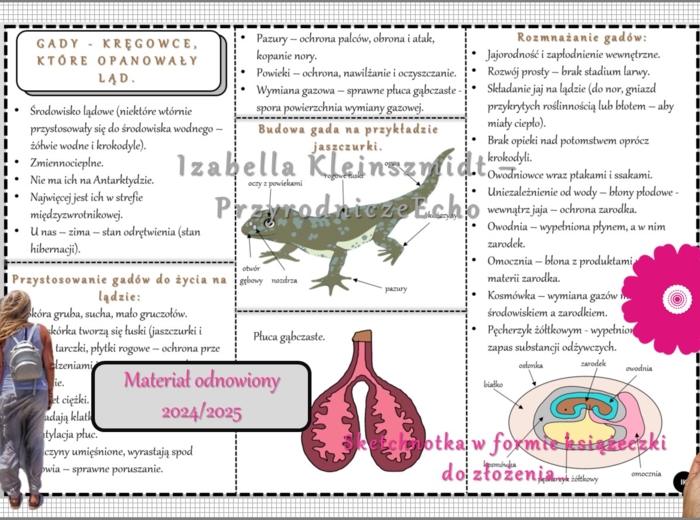 Sketchnotka/książeczka/notatka/wklejka/ściąga dla ucznia i przypomnienie dla nauczyciela/edukacja domowa. Temat „Gady-kręgowce, które opanowały ląd”. Materiał w pdf. Biologia 6, dział „Kręgowce zmiennocieplne”. Nowość 2024/2025.