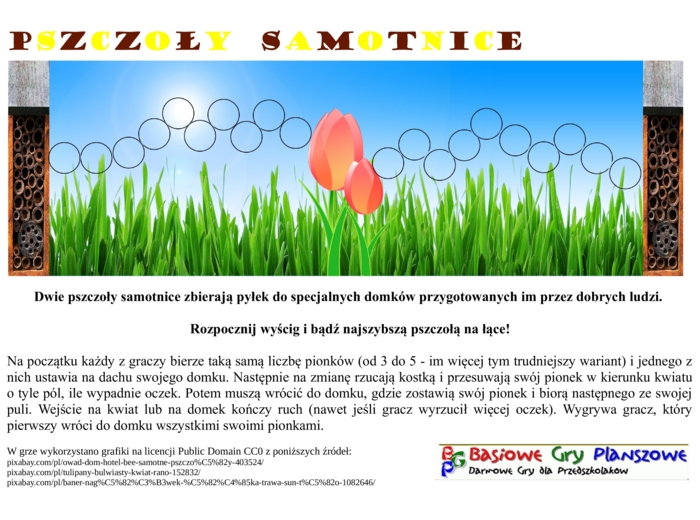 Pszczoły samotnice – Gra planszowa