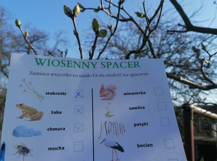 Wiosenne lupy i karty spaceru