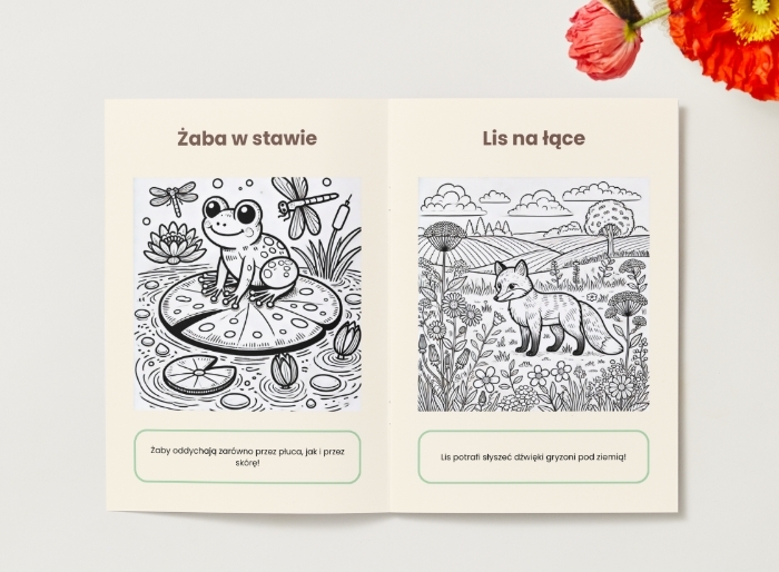 Kolorowanki. Zwierzęta. Rośliny. Grzyby. Ekosystemy