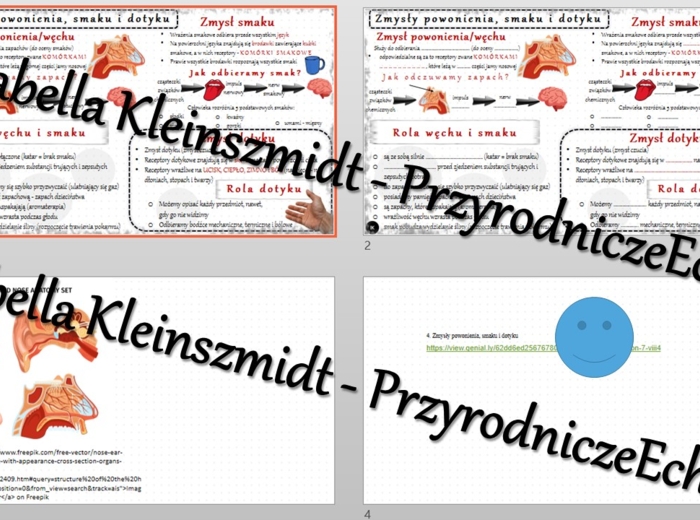 Minizestaw na temat „Zmysły powonienia, smaku i dotyku” – sketchnotka + karta pracy w power point + gratisowy link do prezentacji multimedialnej niekomercyjnej wykonanej w genial.ly do indywidualnego pobrania i użycia do celów niekomercyjnych. Biologia 7