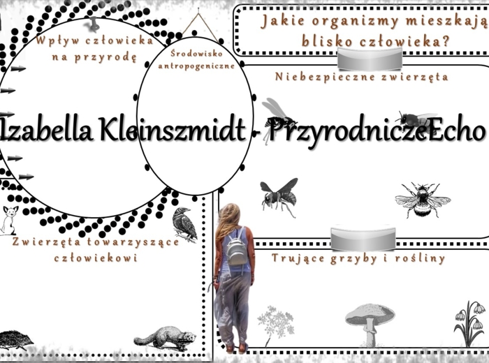 Karta pracy „Jakie organizmy mieszkają blisko człowieka?” wykonana w power point do edycji. Przyroda 4, „Środowisko życia organizmów” na podstawie wydawnictwa WSiP
