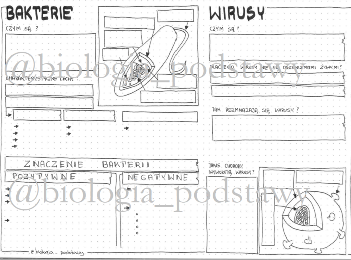 Klasa 5 - Bakterie i wirusy - karta pracy