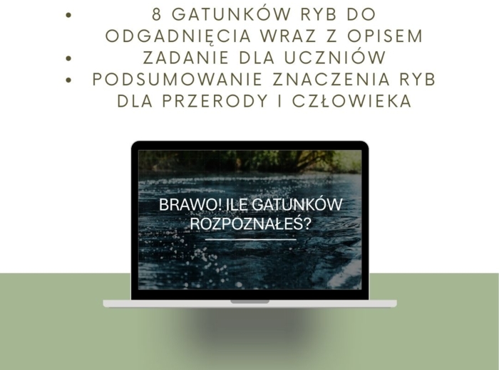 Przegląd i znaczenie ryb - gra zgadnij kto to