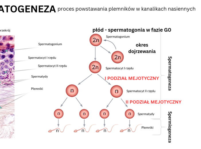 KLASA 3 rozszerzenie - PAKIET NA CAŁY ROK