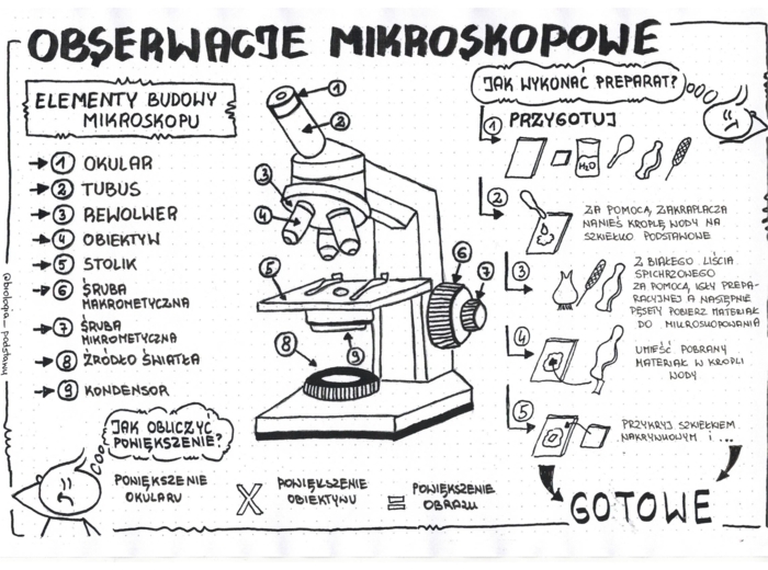 Obserwacje mikroskopowe - klasa 5 - sketchnotka KP