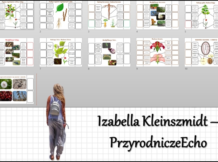 Zestaw notatek okienkowych. Stacje zadaniowe/notatki/notatki graficzne/karty pracy/sketchnotki/projekt/lekcje w terenie do działu „Tkanki i organy roślinne” w pdf. Biologia 5.
