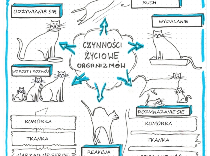 Prezentacja + scenariusz lekcji "Biologia jako nauka"- klasa 5