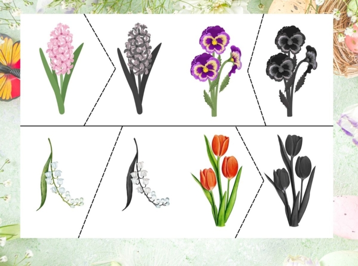 Wiosenne kwiaty – dopasuj kwiat do jego cienia