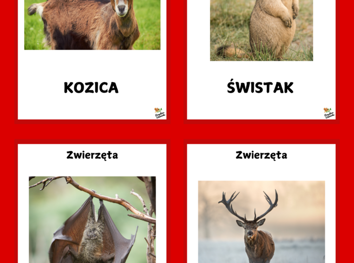 POLSKA - 11 LISTOPADA