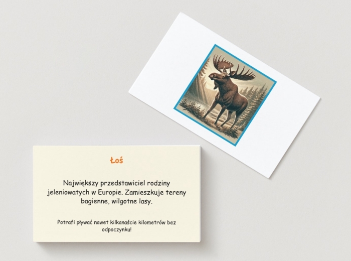 Memory z gatunkami zwierząt i roślin. Rośliny, zwierzęta, owady.