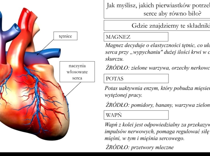 Jak uczyć biologii kreatywnie? Sketchnotki, eksperymenty i odkrywcze lekcje – webinar Anety Górzyńskiej