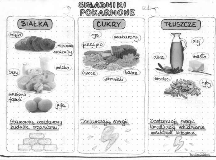 Składniki pokarmowe - białka, cukry, tłuszcze - szarość