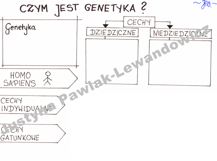 Czym jest genetyka? (karta pracy)