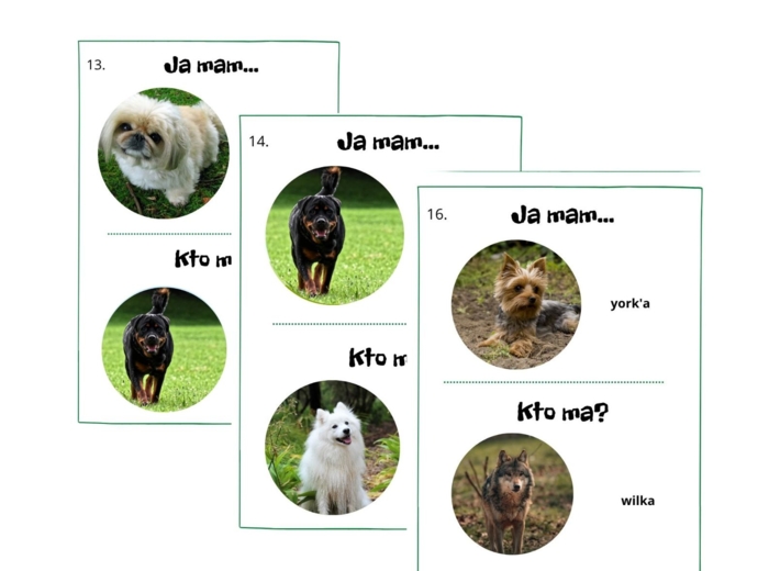 Ja mam, kto ma - rasy psów