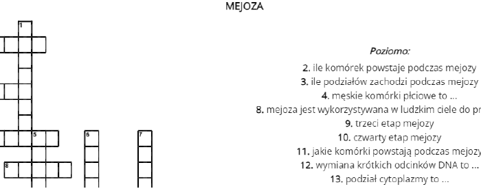 Mejoza - krzyżówka