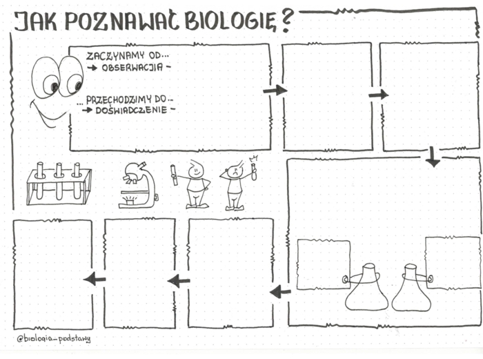 Jak poznawać biologię - klasa 5 sketchnotka
