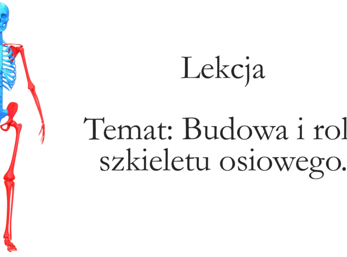Klasa 7 - Budowa szkieletu osiowego - prezentacja