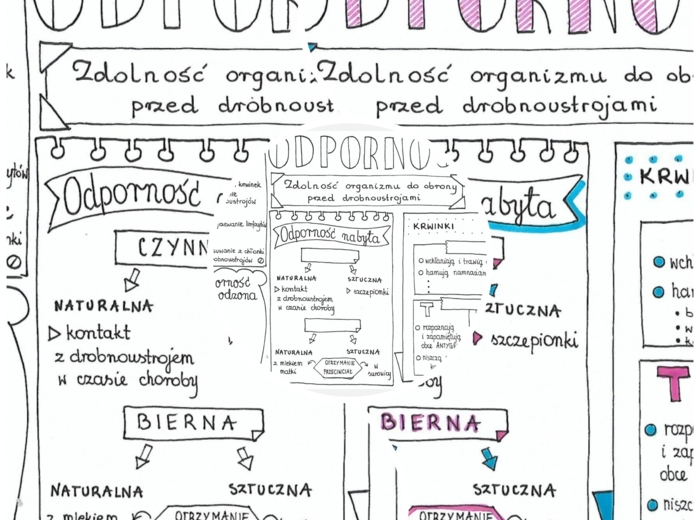 Odporność - skethcnotka