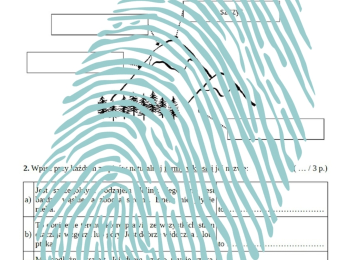 Formy wypukłe i wklęsłe krajobrazu - kartkówka / PRZYRODA klasa 4