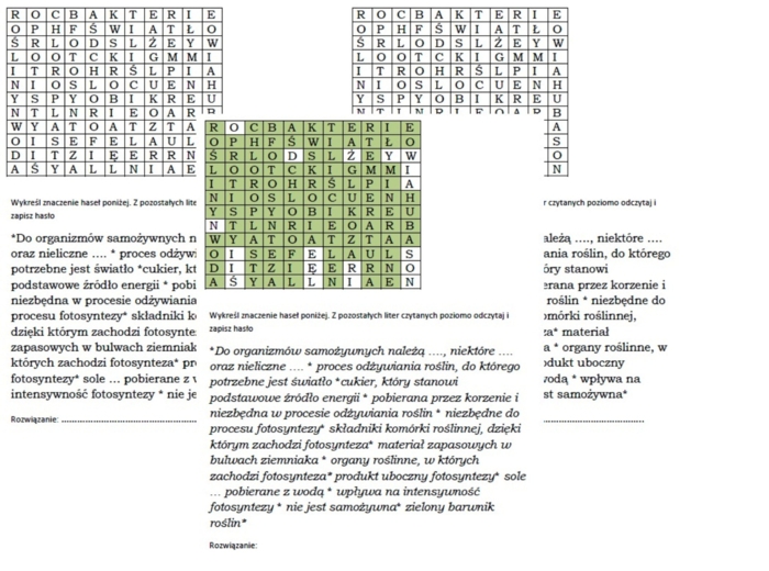 Wykreślanka dla klasy 5 na podsumowanie lekcji o odżywianiu się roślin