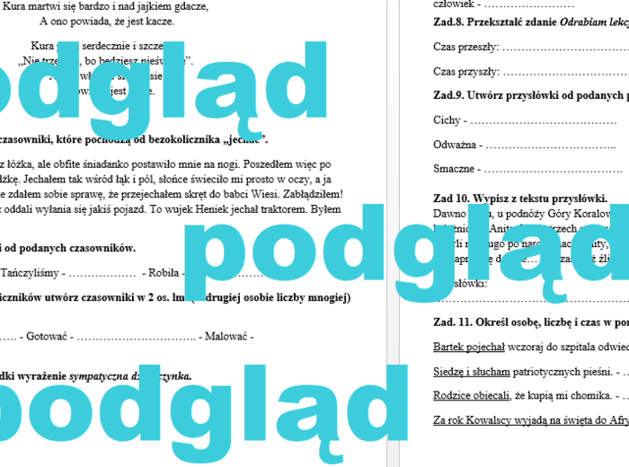 Części mowy - sprawdzian, karta pracy, klasa 4, 5, 6