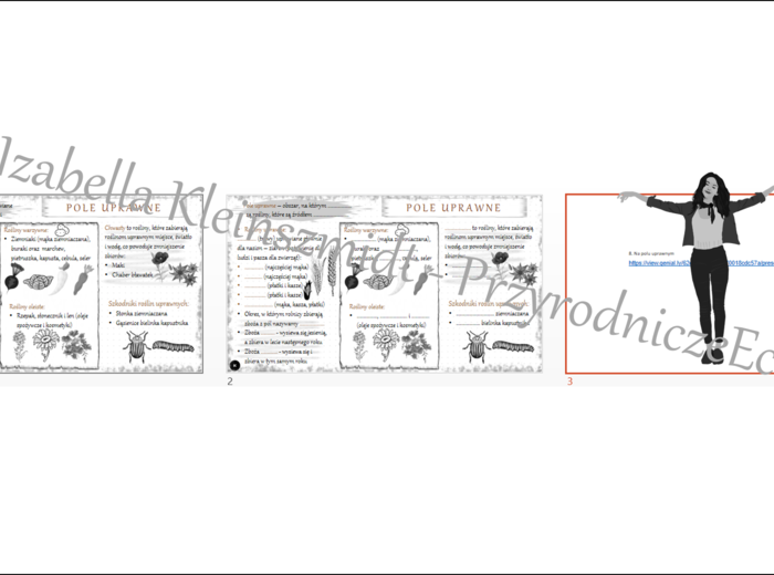 Mini zestaw do tematu „Na polu” - sketchnotka + karta pracy + gratisowy link do prezentacji multimedialnej niekomercyjnej wykonanej w genial.ly do indywidualnego pobrania i użycia do celów niekomercyjnych. Przyroda klasa 4, dział VIII „Odkrywamy tajemnic