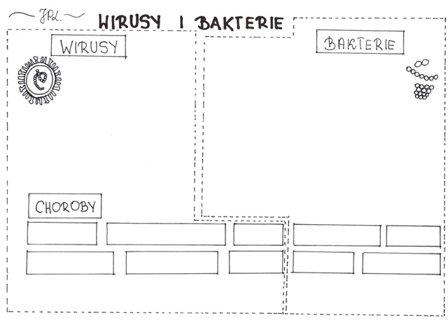 Wirusy i bakterie (karta pracy)
