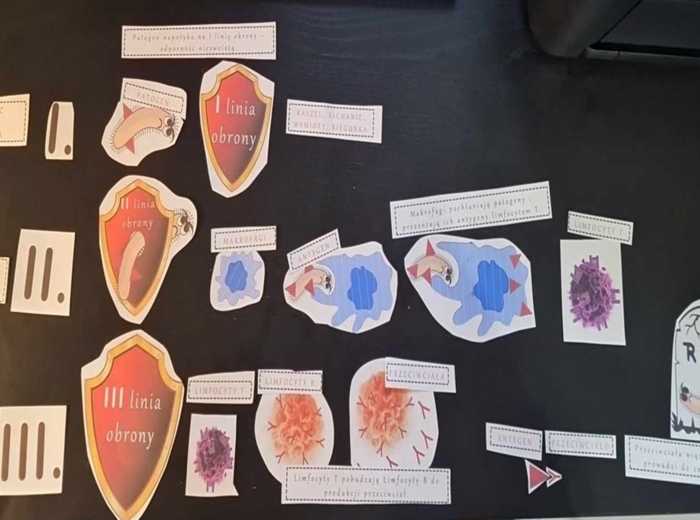 Materiał do zalaminowania/praca w grupach/puzzle/układanka. "Linie obrony - jak zdobywamy odporność?" „Budowa i funkcjonowanie układu odpornościowego” w pdf. Biologia 7, dział „Układ krążenia”.