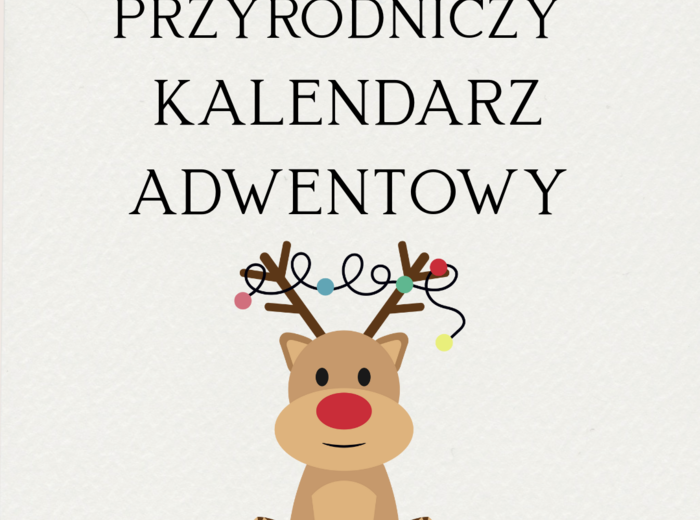 Przyrodniczy kalendarz adwentowy klasy 4-8