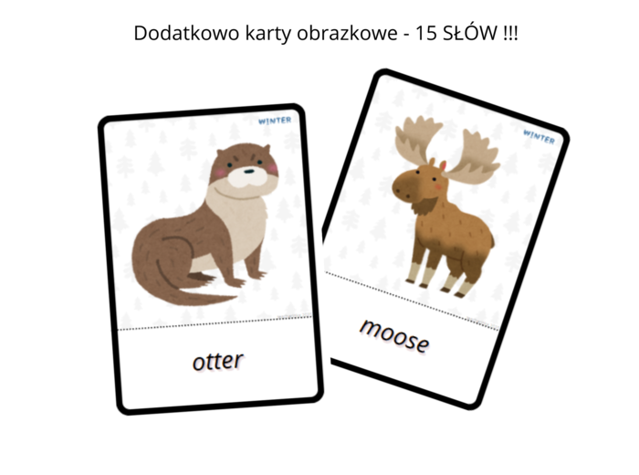 Winter Artic Animals Worksheet Set + Flashcards- zwierzęta arktyczne, karty pracy dla przedszkolaka, ucznia zerówki przedszkolnej, I spy, sudoku, labirynt, karty obrazkowe , język angielski