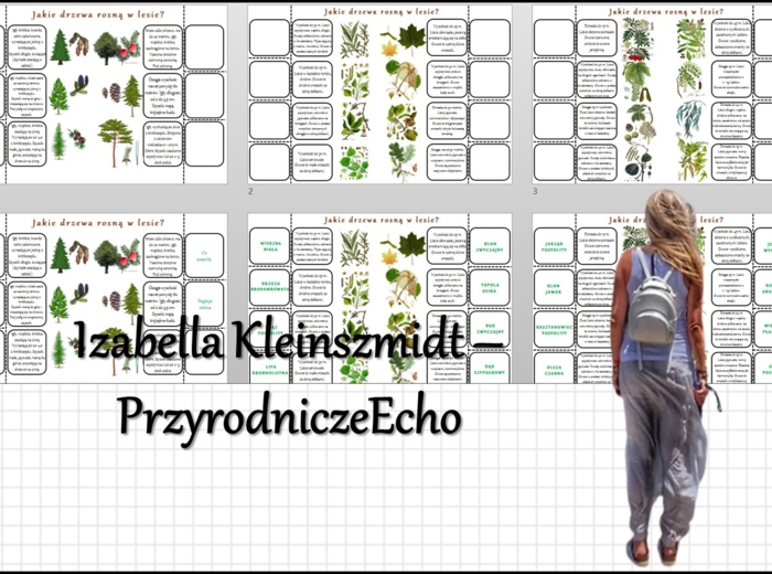 Notatki okienkowe/stacje zadaniowe/notatki/notatki graficzne/karty pracy/sketchnotki „Jakie drzewa rosną w lesie?” w pdf. - Przyroda 4, dział „Odkrywamy tajemnice życia w wodzie i na lądzie”.