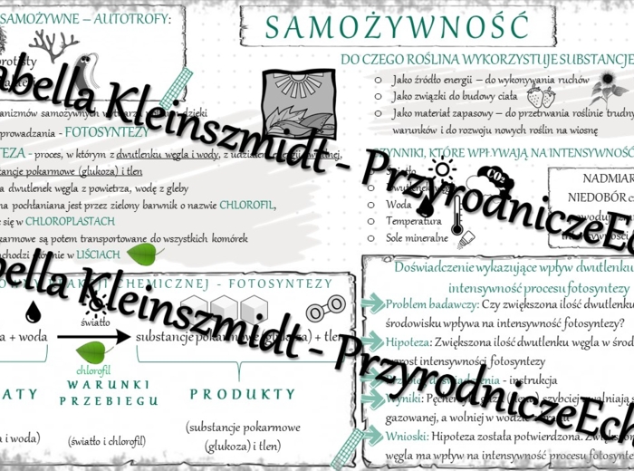 Sketchnotka - notatka „Samożywność” wykonana w power point do edycji. Biologia 5; „Budowa i czynności życiowe organizmów”