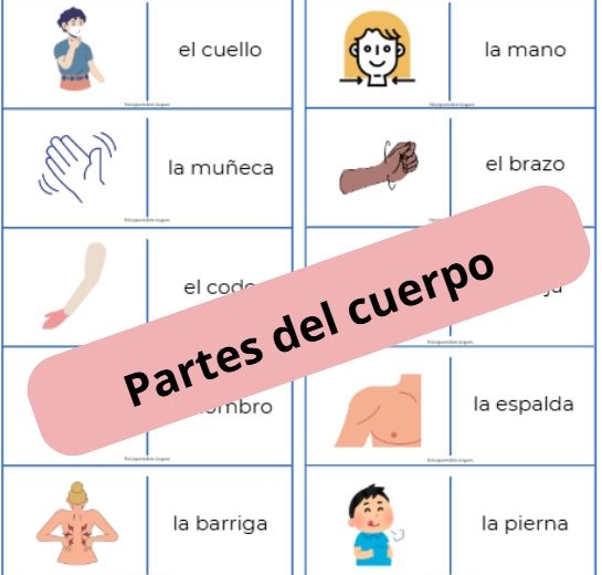 Domino ze słówkami – „Las partes del cuerpo” (części ciała)