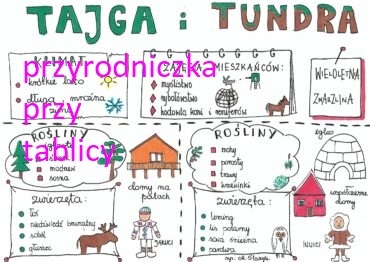 Tajga i tundra (3 karty pracy)