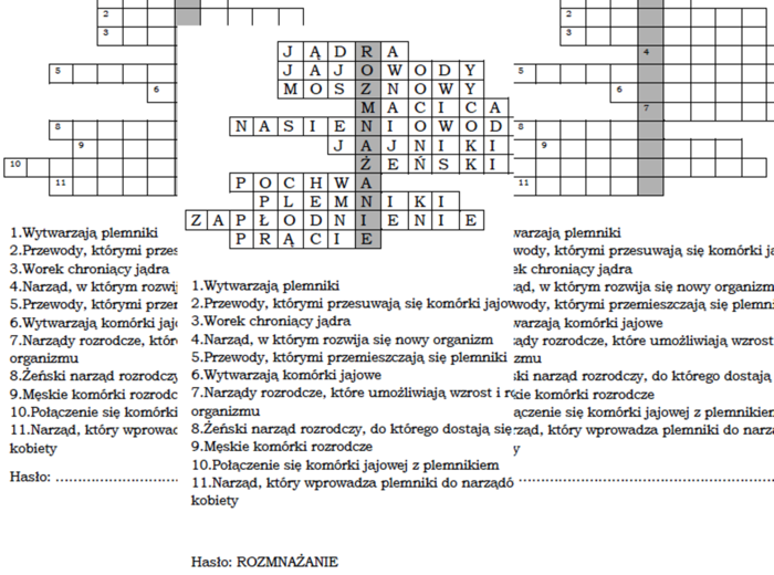 Logogryf dla klasy 4 na podsumowanie lekcji o budowie męskich i żeńskich narządów rozrodczych