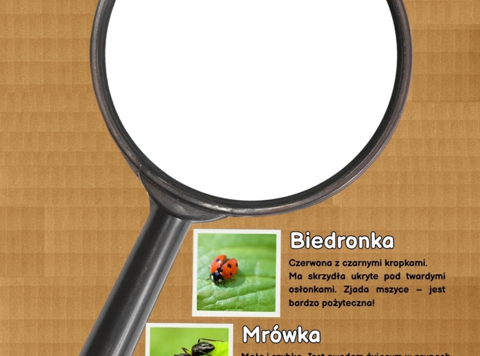 Projekt/ Innowacja własna "EDUKACJA w ruchu i relacji"- przedszkole i kl. 1-3