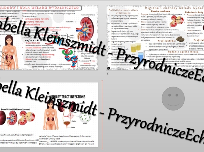 Zestaw sketchnotek – notatek do całego działu „Układ wydalniczy” wykonanych w power point do edycji. Biologia 7