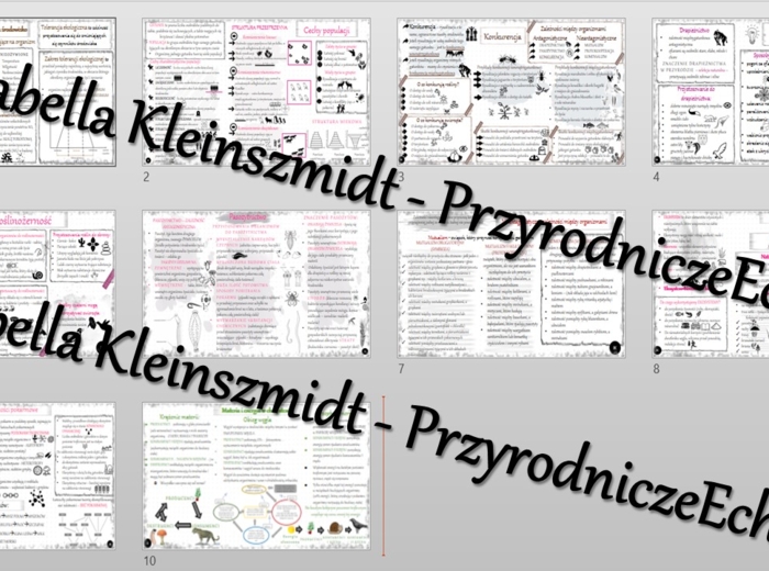 Zestaw sketchnotek – notatek do całego działu „Ekologia” wykonanych w power point do edycji. Biologia 8