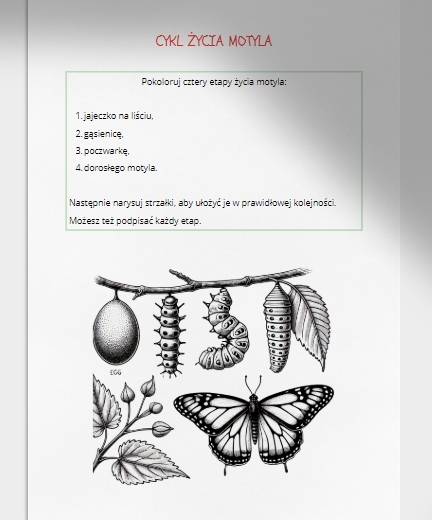 Łamigłówki i kolorowanki. Cykl życia roślin i zwierząt. Elementy krajobrazu. Połącz w pary.