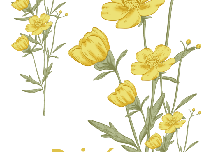 DZIEŃ NAUCZYCIELA GAZETKA