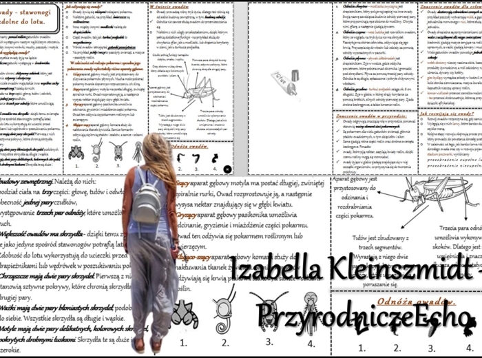 Książeczka/sketchnotka/notatka/wklejka/streszczenie dla ucznia i przypomnienie dla nauczyciela/edukacja domowa/materiał w pigułce. Temat „Owady-stawonogi zdolne do lotu” w pdf. Biologia 6, dział „Stawonogi i mięczaki”. Nowość 2024/2025.