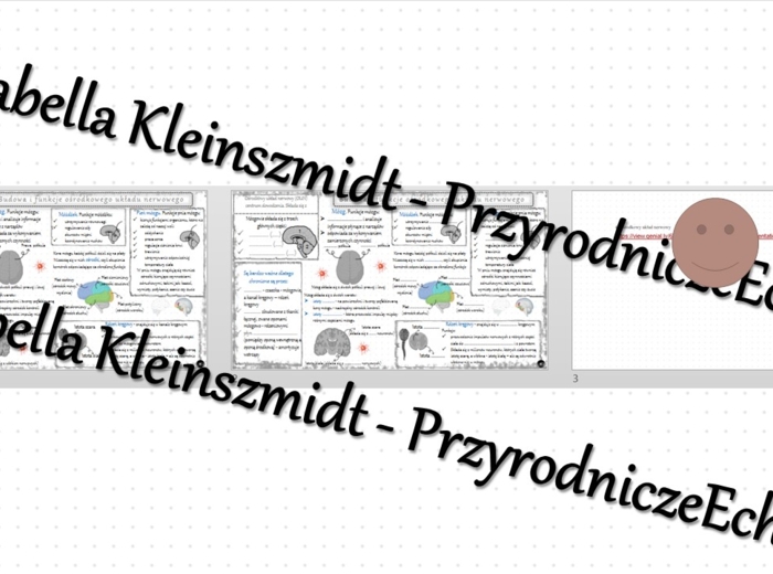 Minizestaw na temat „Ośrodkowy układ nerwowy” – sketchnotka + karta pracy w power point + gratisowy link do prezentacji multimedialnej niekomercyjnej wykonanej w genial.ly do indywidualnego pobrania i użycia do celów niekomercyjnych. Biologia 7, „Regulac