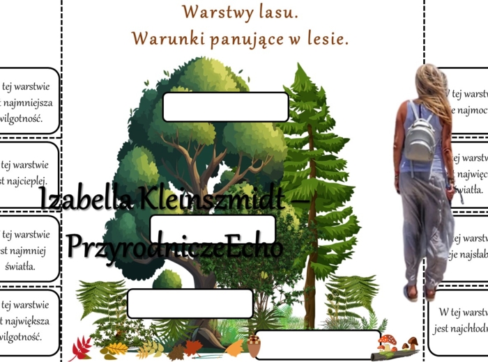 Notatki okienkowe/stacje zadaniowe/notatki/notatki graficzne/karty pracy/sketchnotki/materiał do zalaminowania do działu „Odkrywamy tajemnice życia w wodzie i na lądzie” w pdf. Przyroda 4.