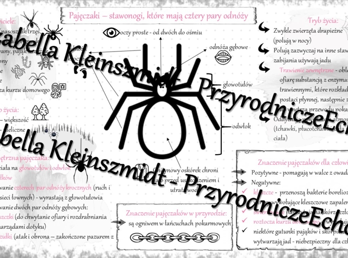 Sketchnotka - notatka „Pajęczaki – stawonogi, które mają cztery pary odnóży” wykonana w power point do edycji. Biologia 6; „Stawonogi i mięczaki”